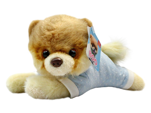 Teddy Bear n Doll - GUND Japan Boo Shunsuke Baby Boy - L181409 Photo